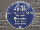 Arber, Agnes Robertson (id=3533)